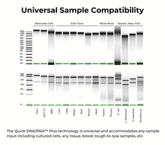 <i>Quick</i>-DNA/RNA Miniprep Plus Kit