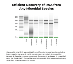 <i>Quick</i>-RNA Fungal/Bacterial Microprep Kit