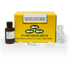 Highly efficient large DNA purification from agarose gels.