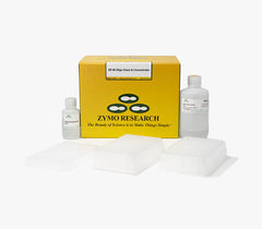 Clean any DNA and RNA oligos and elute in 6 &micro;l