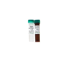 Amplification of bisulfite-converted; CpG rich DNA; Amplification of DNA; TA cloning
